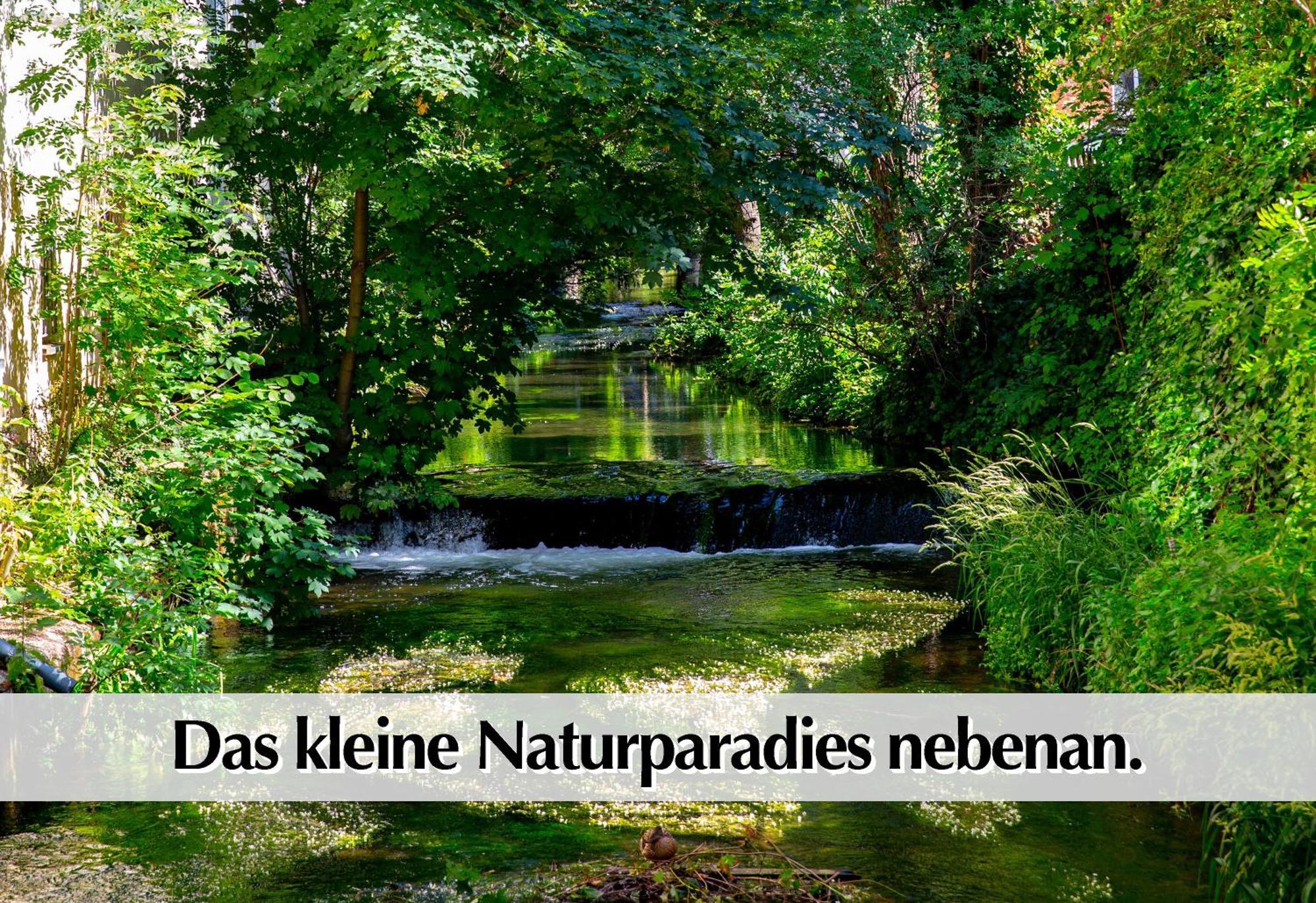 Stadtperle Am Plaetschernden Wasser - 50M2 2R Malerische Fewo In Top Lage Erfurt Extérieur photo